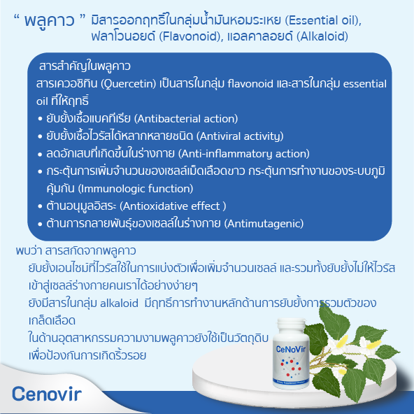 cenovir