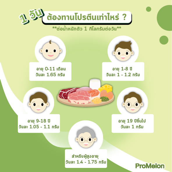 ต้องทานโปรตีนเท่าไหร่