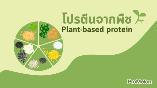 โปรตีน