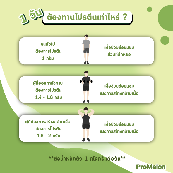 โปรตีนจากพืช ซอยโปรตีน